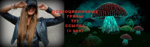 соль курить ск Белокуриха
