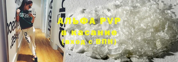 сатива Баксан